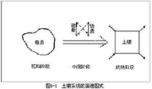 帕森斯的特質因素理論