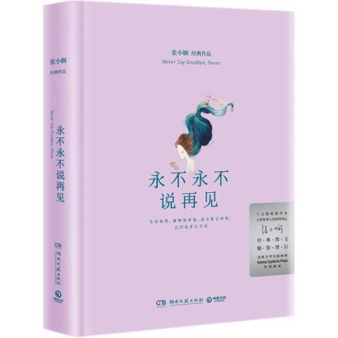 永不永不說再見(2018年湖南文藝出版社出版的圖書)