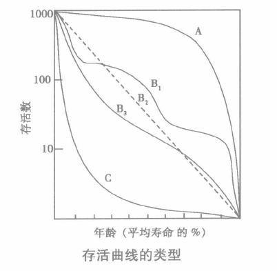 存活曲線類型