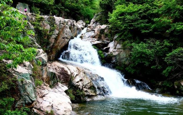 茯苓窩康養農場