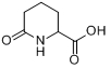 6-氧代哌啶-2-甲酸