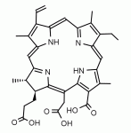 二氫卟吩e6