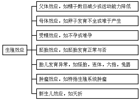 母體效應