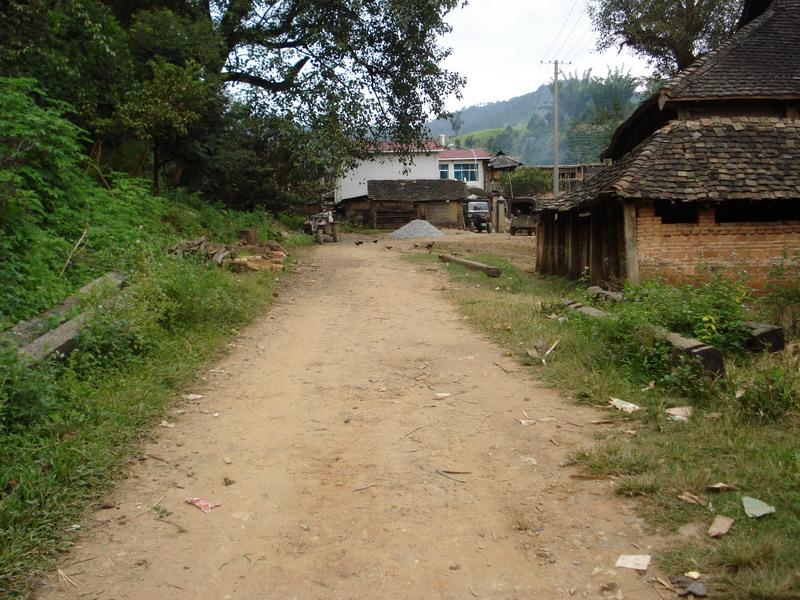 曼邁村(雲南省西雙版納州景洪市勐罕鎮曼邁村)