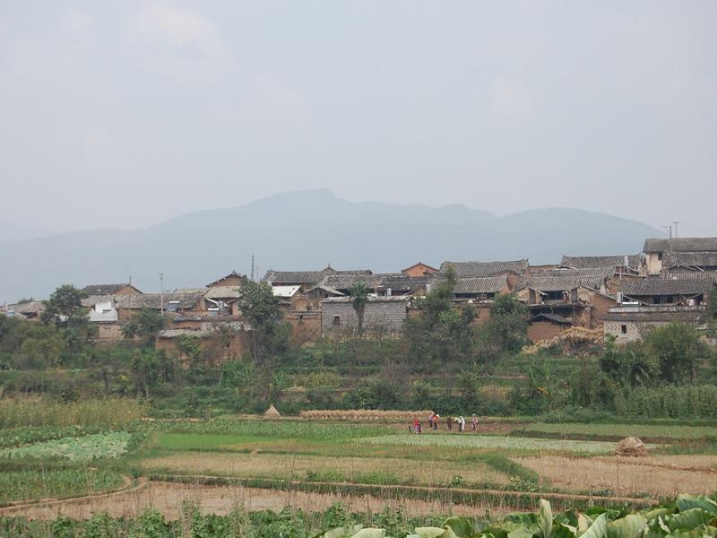 中所村(雲南省紅河建水縣曲江鎮中所村)