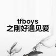 tfboys之剛好遇見愛