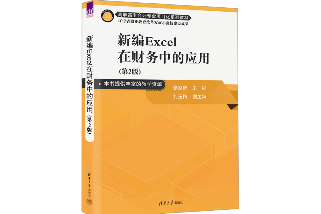 新編Excel在財務中的套用（第2版）(2022年清華大學出版社出版的圖書)