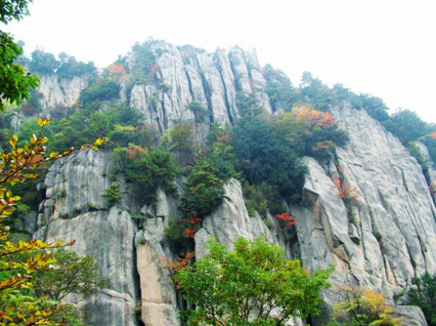 汕尾蓮花山森林公園