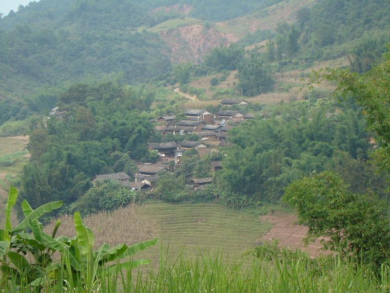 勐大鎮南康村