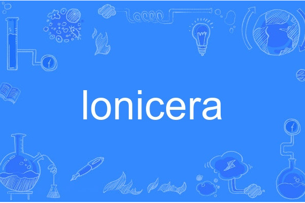 lonicera