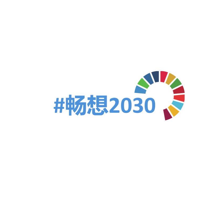 聯合國中國“暢想2030”