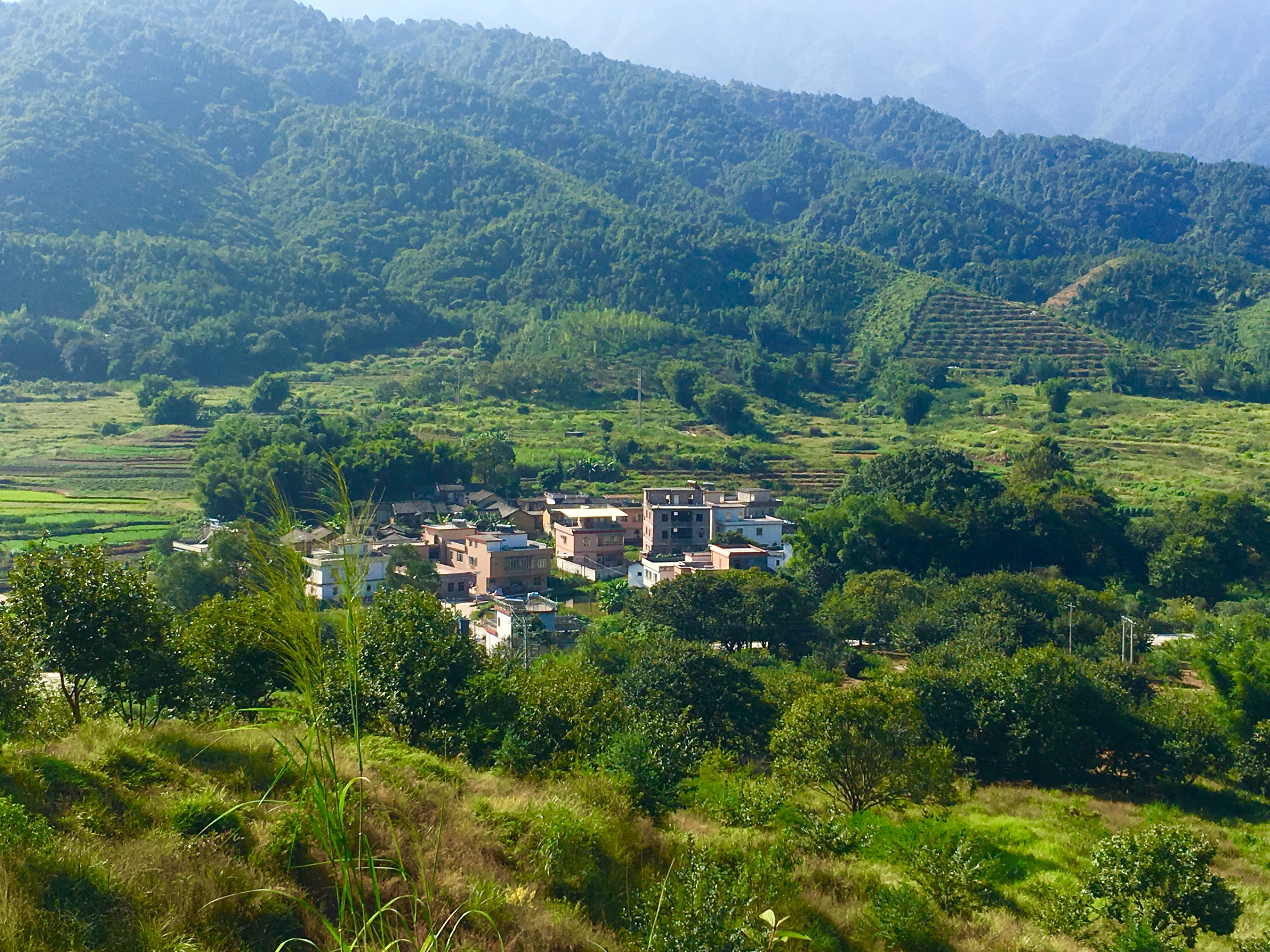 垇頭村(廣東省連平縣陂頭鎮李坑行政村下轄村)