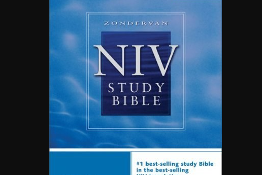 Zondervan NIV Study Bible