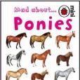 Mad About Ponies 小瓢蟲書系-讓人著迷的小馬