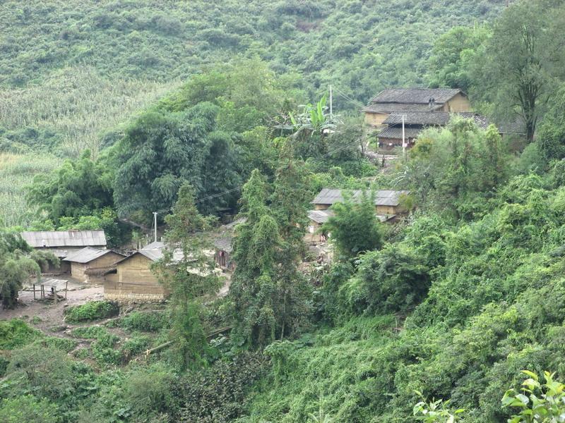 三丫坡村