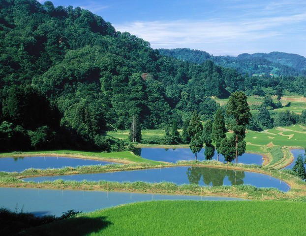 銀山村(貴州省畢節市織金縣珠藏鎮下轄村)