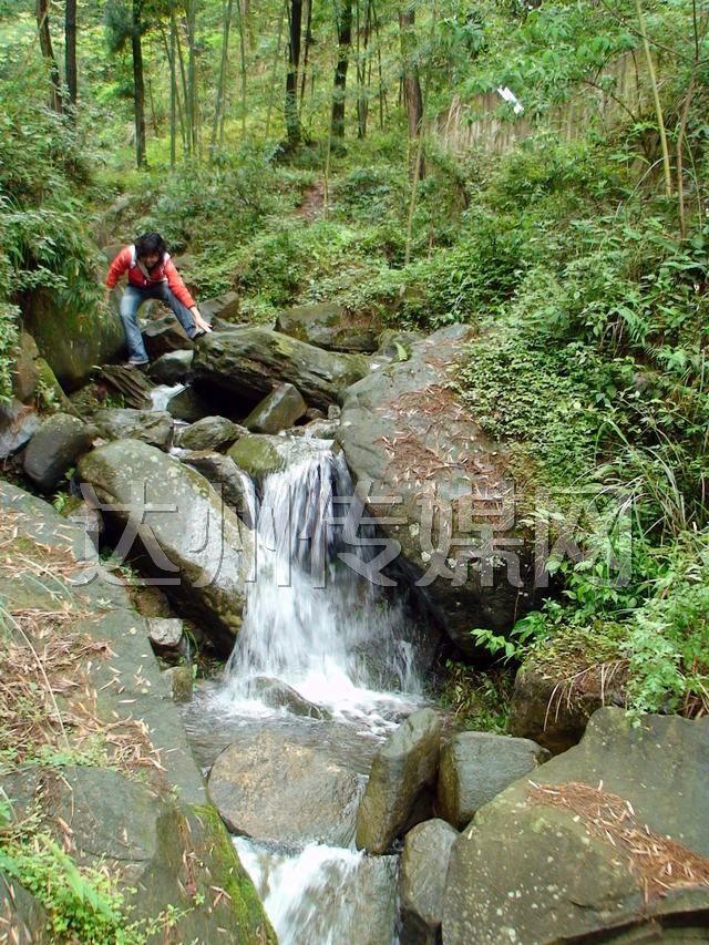 柏樹鎮觀音山