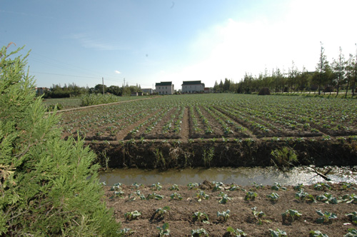 中興鎮(四川省成都市都江堰市中興鎮)