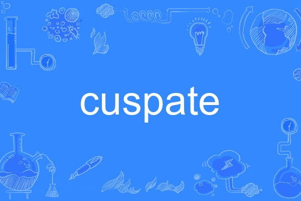 cuspate