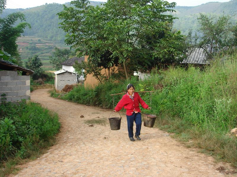 莽回寨自然村村內道路