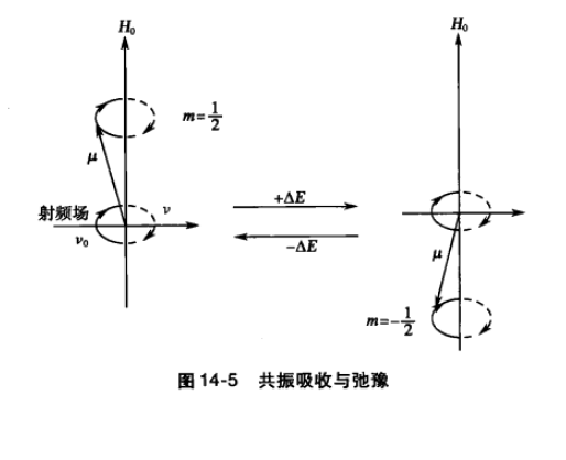 自旋弛豫