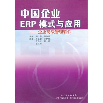 中國企業ERP模式與套用