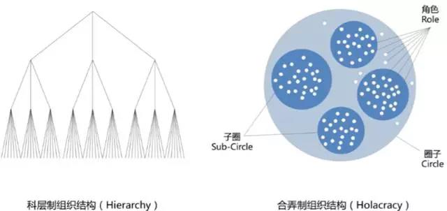 合弄制