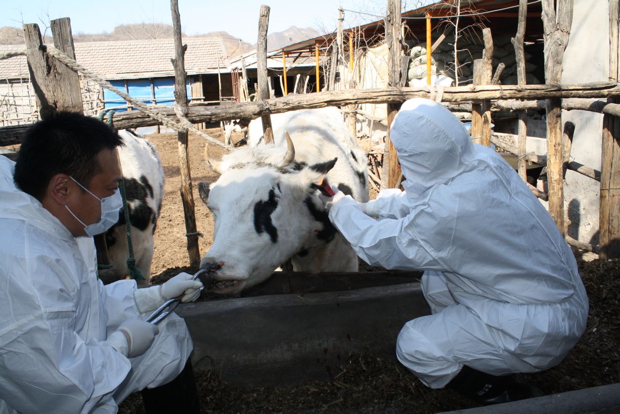 門頭溝區動物疫病預防控制中心