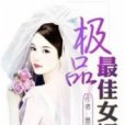 極品最佳女婿