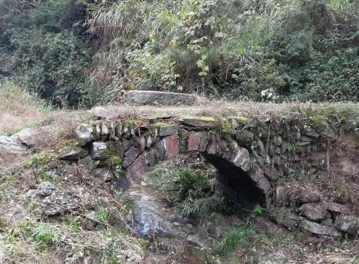 渠江茶園