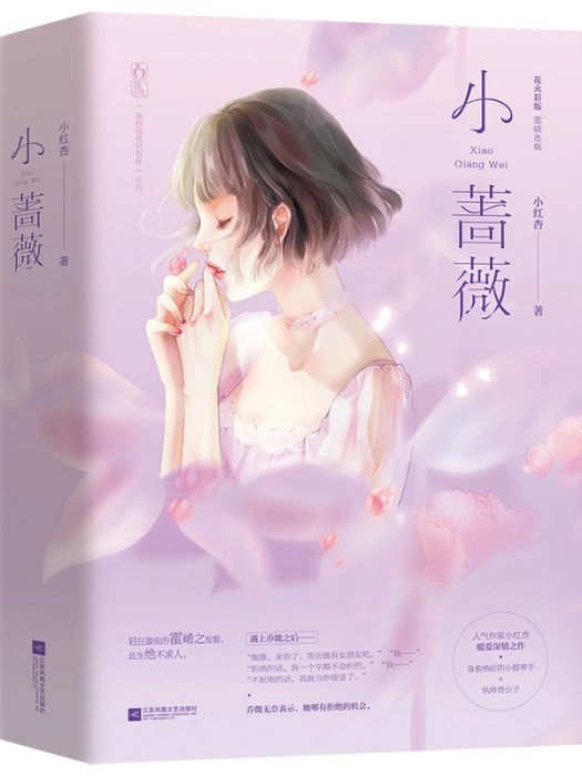 小薔薇(2019年江蘇鳳凰文藝出版社出版的圖書)