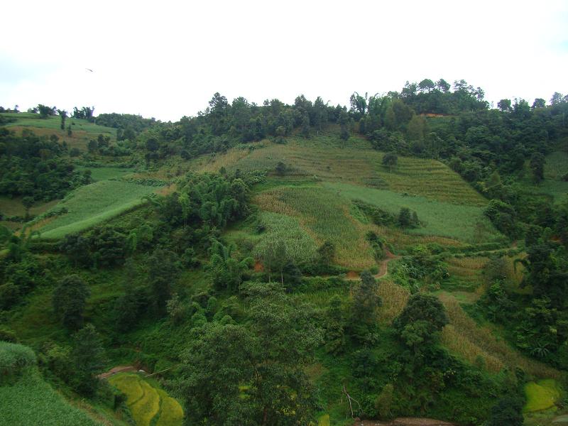 野毛寨自然村