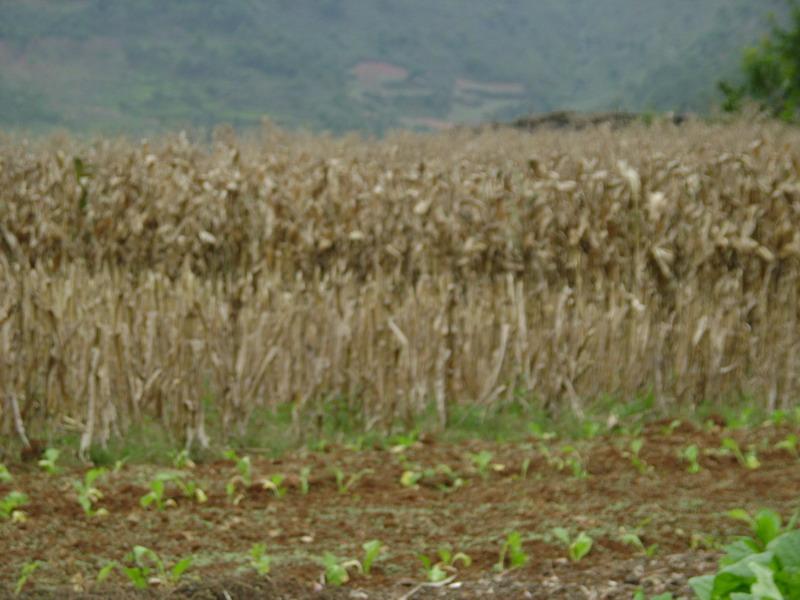 錦屏馬頭山村民委