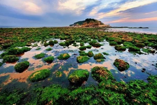 威海小石島國家級海洋特別保護區