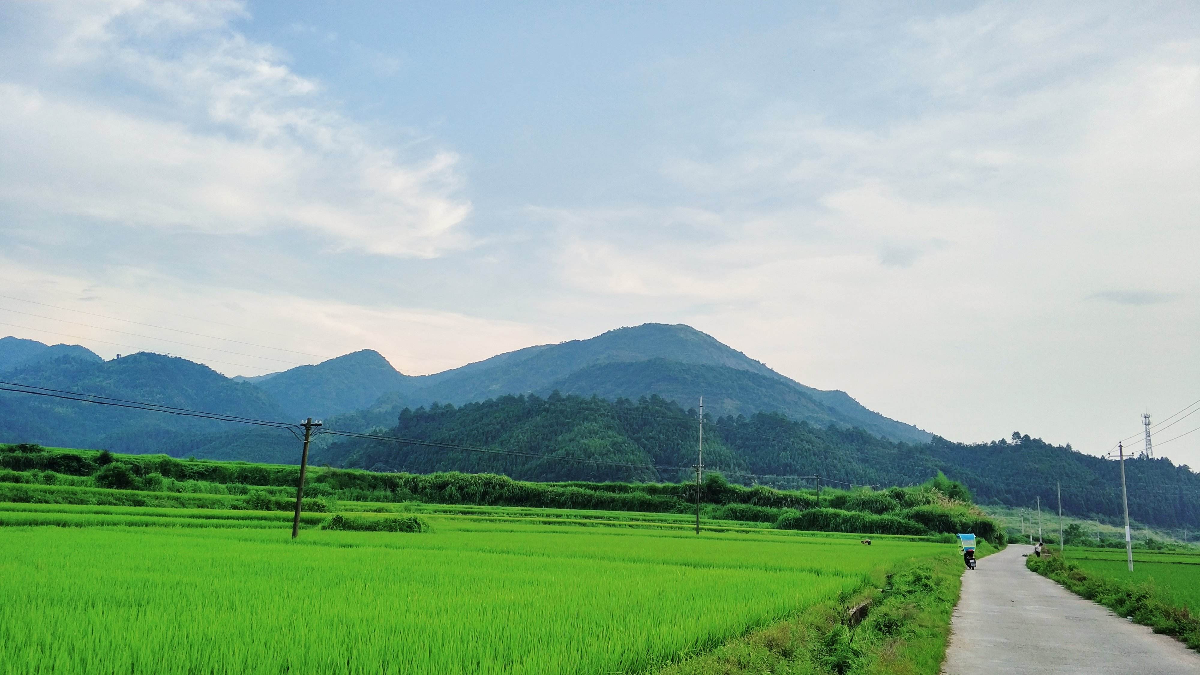 南城麻姑仙棗