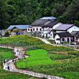 朱家灣村(湖北省宜昌市夷陵區樂天溪鎮朱家灣村)