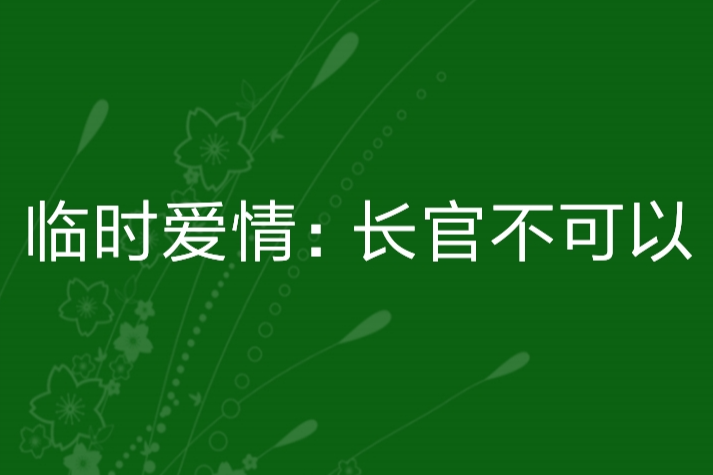 臨時愛情：長官不可以