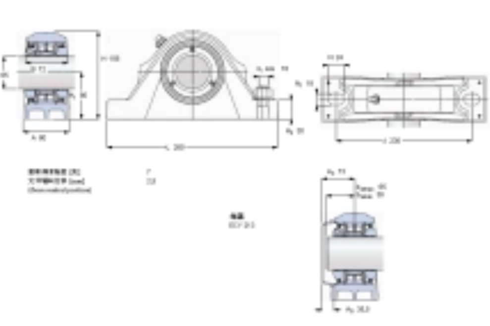 SKF SYNT65LTS軸承