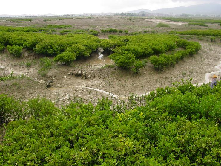 黑龍江拉林河口濕地省級自然保護區