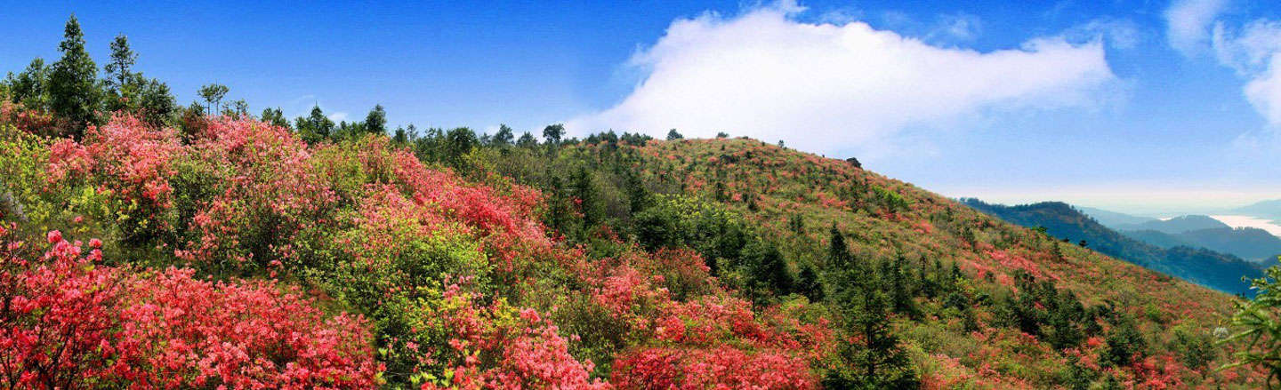 十里花山