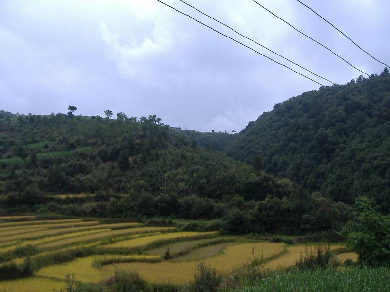 同草溝村