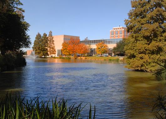 Lake in UNCC