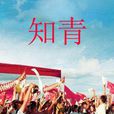 知青(2012年張新建導演中國大陸電視劇)