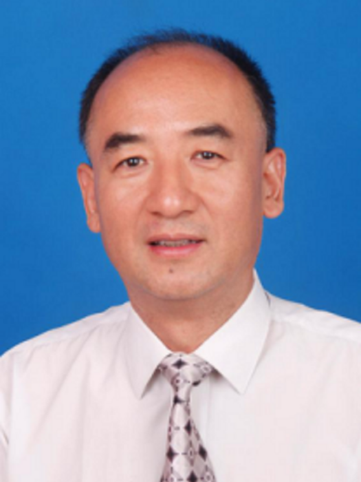 李峰(陝西省鹹陽市大數據管理局副局長)
