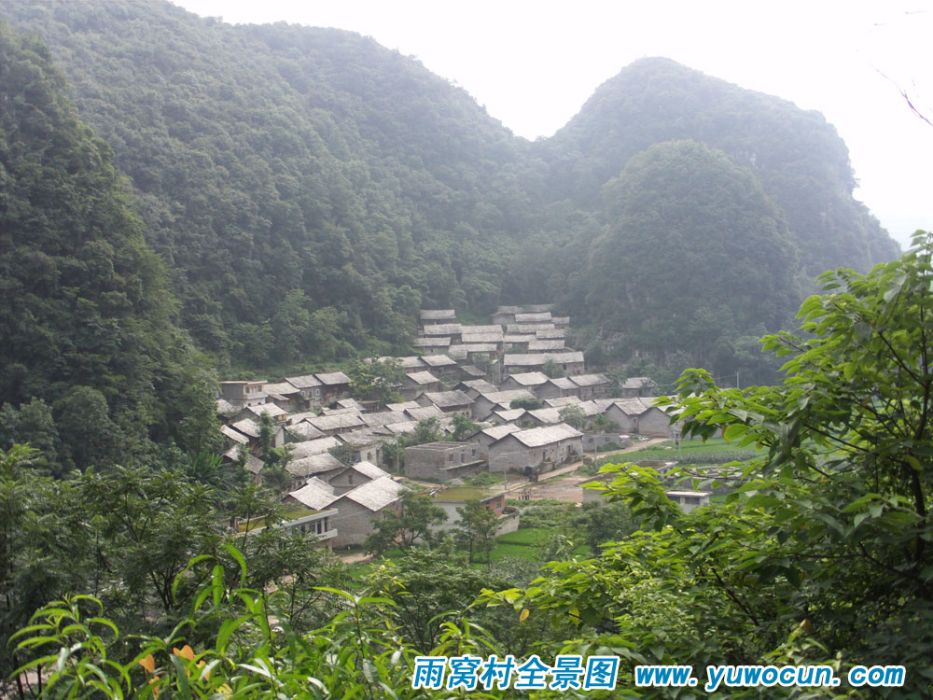 雨窩村