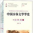 中國分體文學學史
