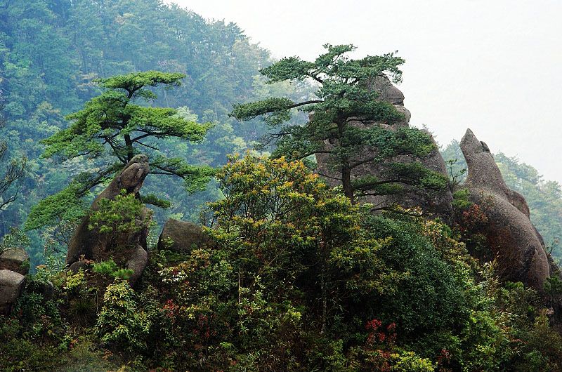 東嶽山(安徽省黟縣東嶽山)