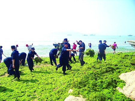 海陽所鎮村民清理海域