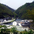 中港村(湖北省通山縣九宮山風景區中港村)