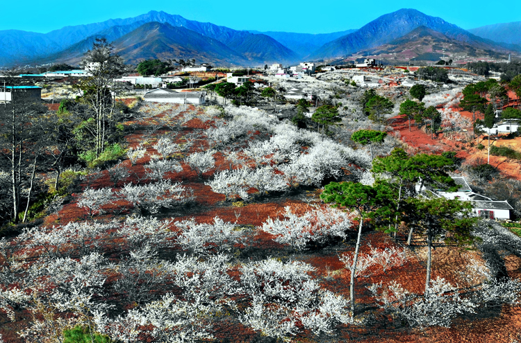 西昌市(小春城)